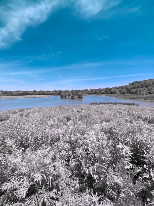 Nature lake white