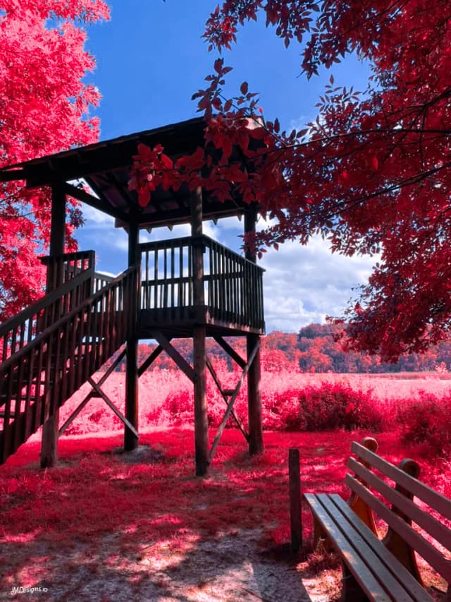 Wooden tower in the trees