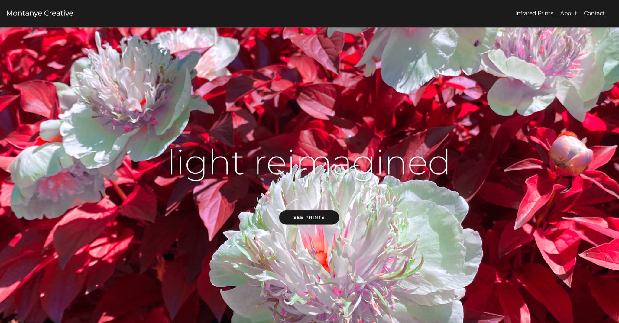 Image of Montanye Creative Photography website home page